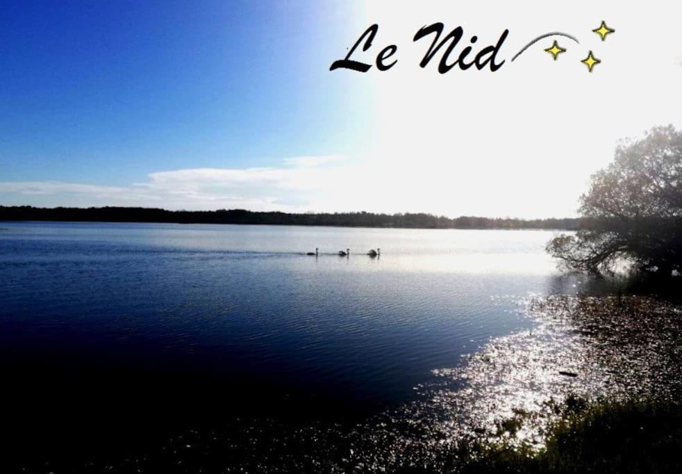 Le Nid Apartment Aureilhan  Екстериор снимка